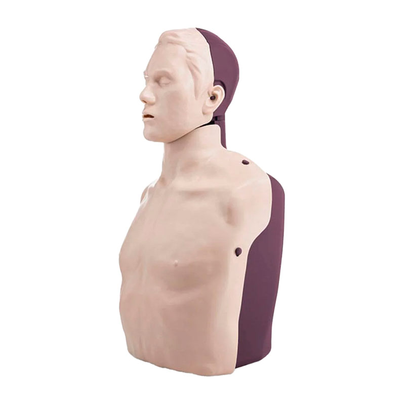 Brayden Pro CPR Manikin
